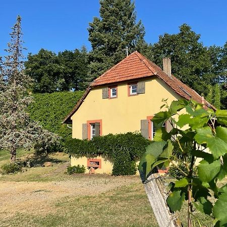 Villa Rebhaus Durbach Extérieur photo